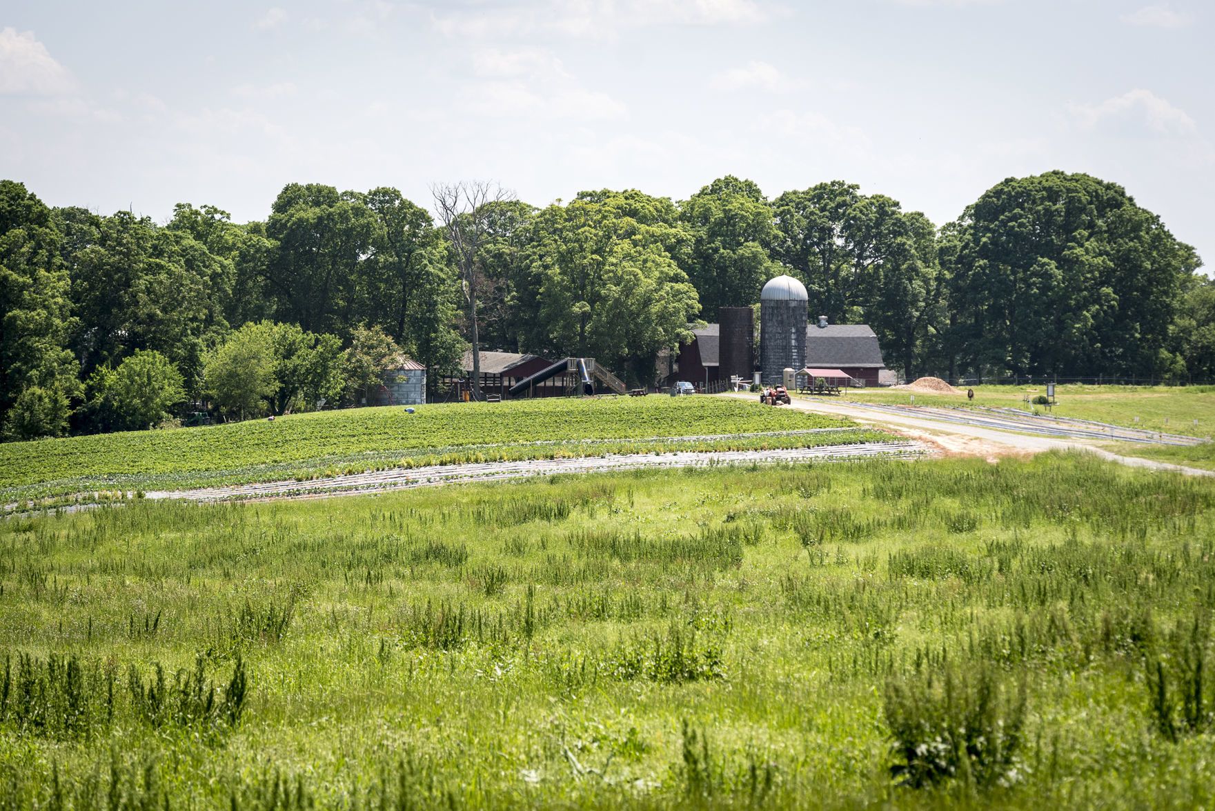 Easement